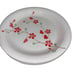 Pier One Red Blossom and Berry Stoneware Dinner Plate, set of 3