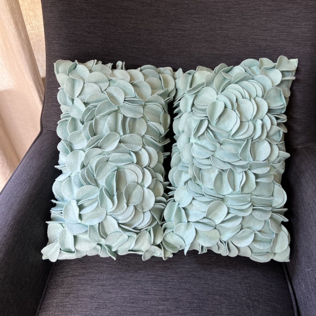 Pier 1 Textured Petal Accent Pillows Set of 2 Aqua Green Romantic 3d Glam Felt