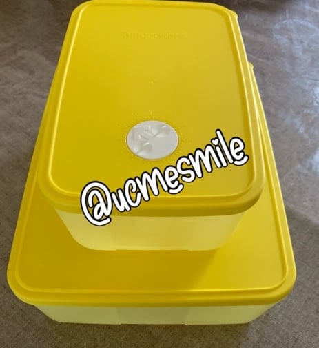 Tupperware Freezer Mate Saver Keeper Storage Container Set