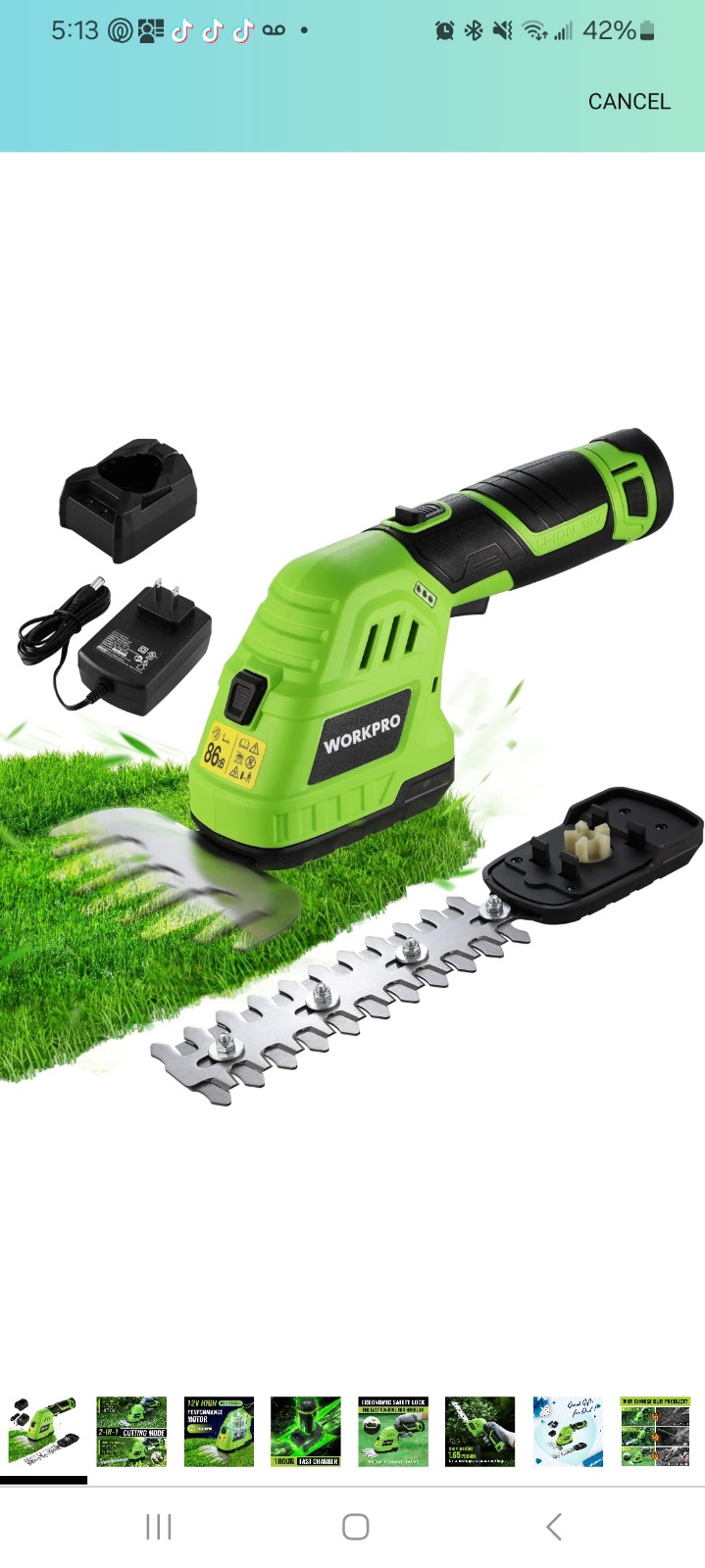 WORKPRO 12V Cordless Grass Shear & Shrubbery Trimmer - 2 in 1 Handheld Hedge Tri