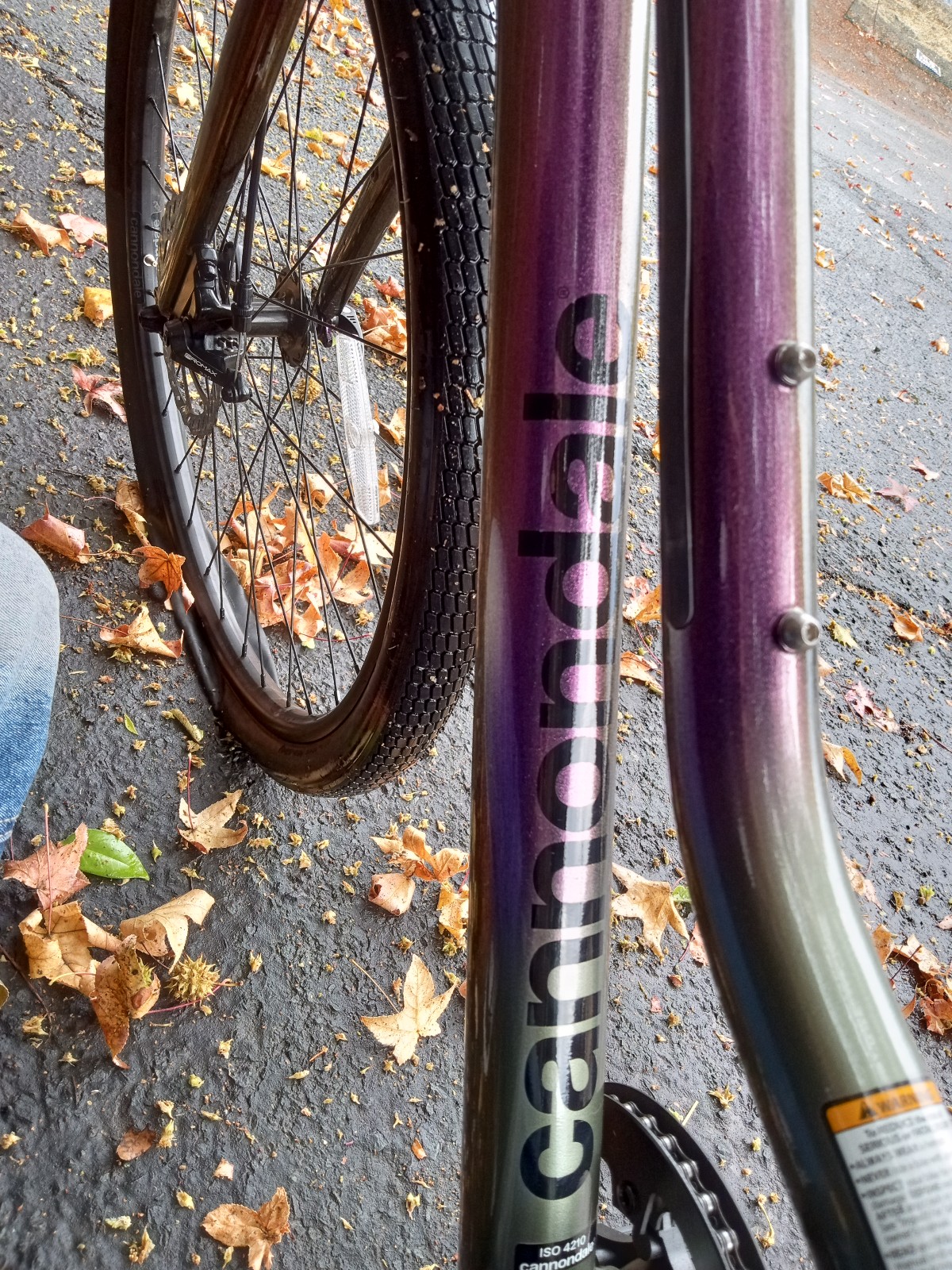 Cannondale Treadwell 3
