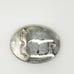 Belt Buckle Montana silversmiths
