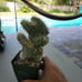 Echinocereus enneacanthus