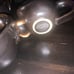 williams sonoma skull cup mugs lot