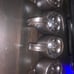 williams sonoma skull cup mugs lot