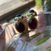 Vintage 1980's Unsigned GIVENCHY Carved Genuine Lapis Scarab Pierced