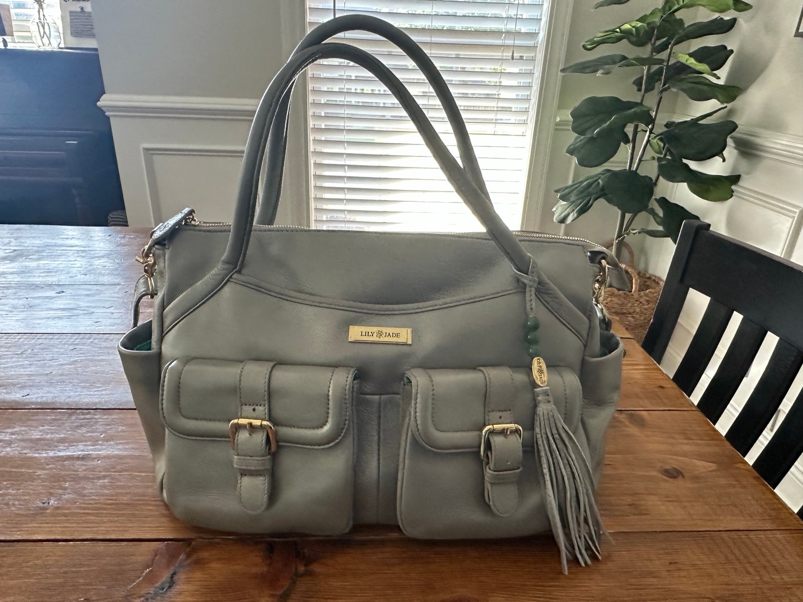 Lily Jade Leather Elizabeth Diaper (convertible) Bag