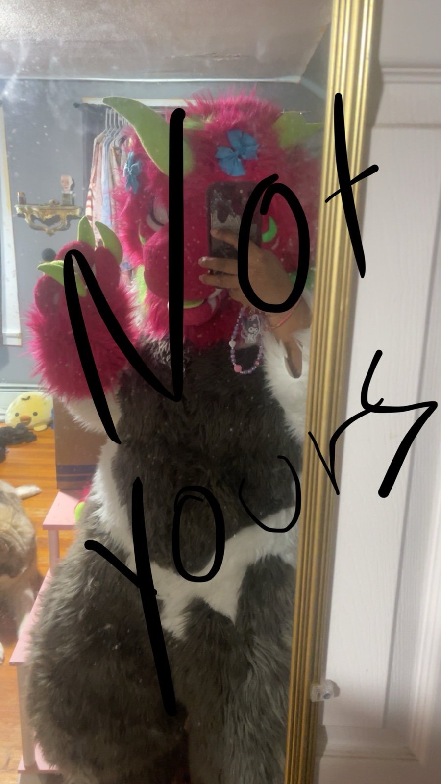 ISO fursuit paws and tail
