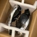 2013 ford focus headlights SE