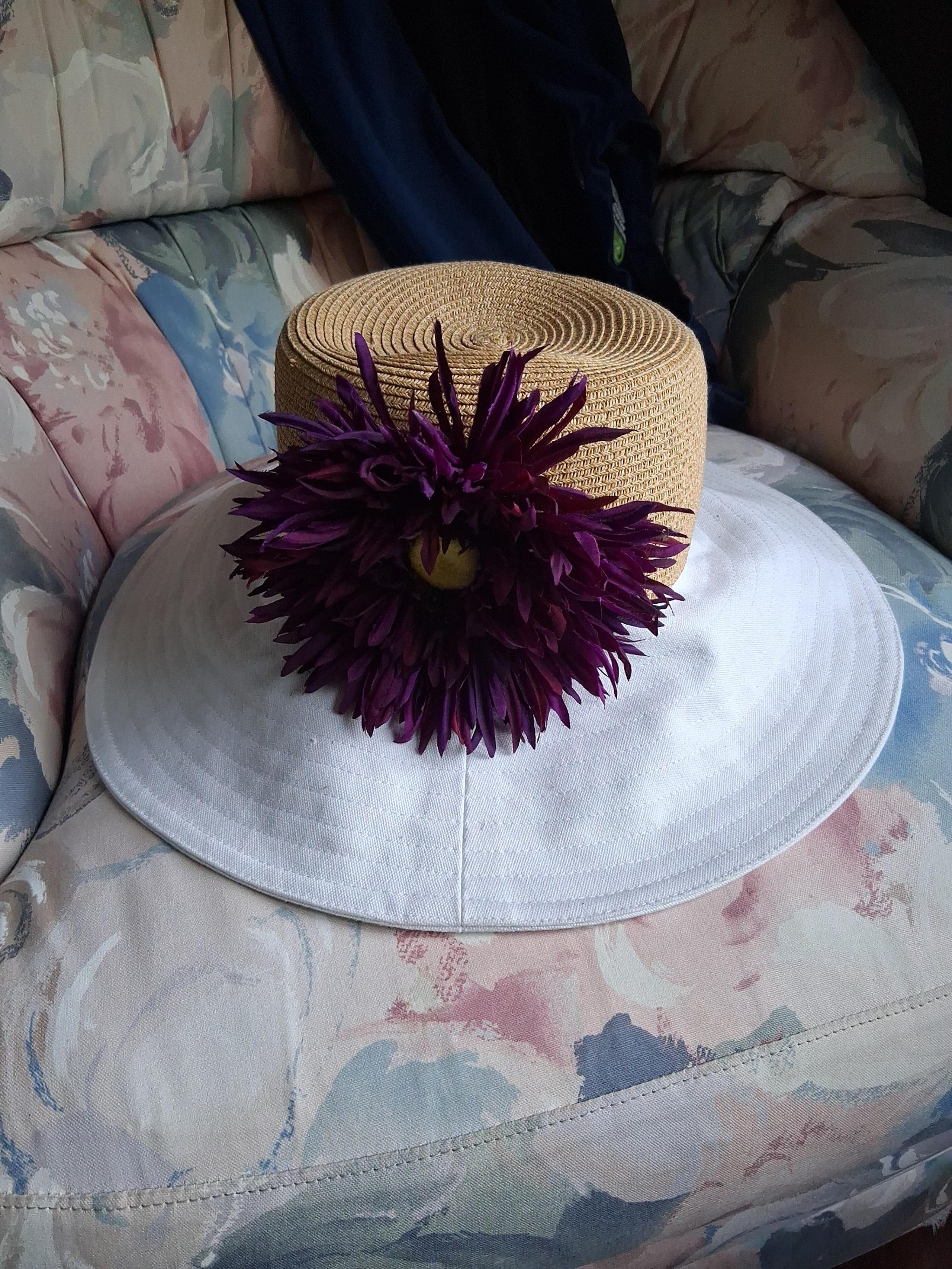 Hat Scala women cotton and paper summer wide brim