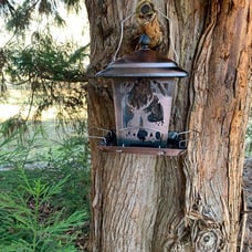 Kingsyard Metal Bird Feeder for Outdoor Hanging - Unique Design Wild Bird Hopper