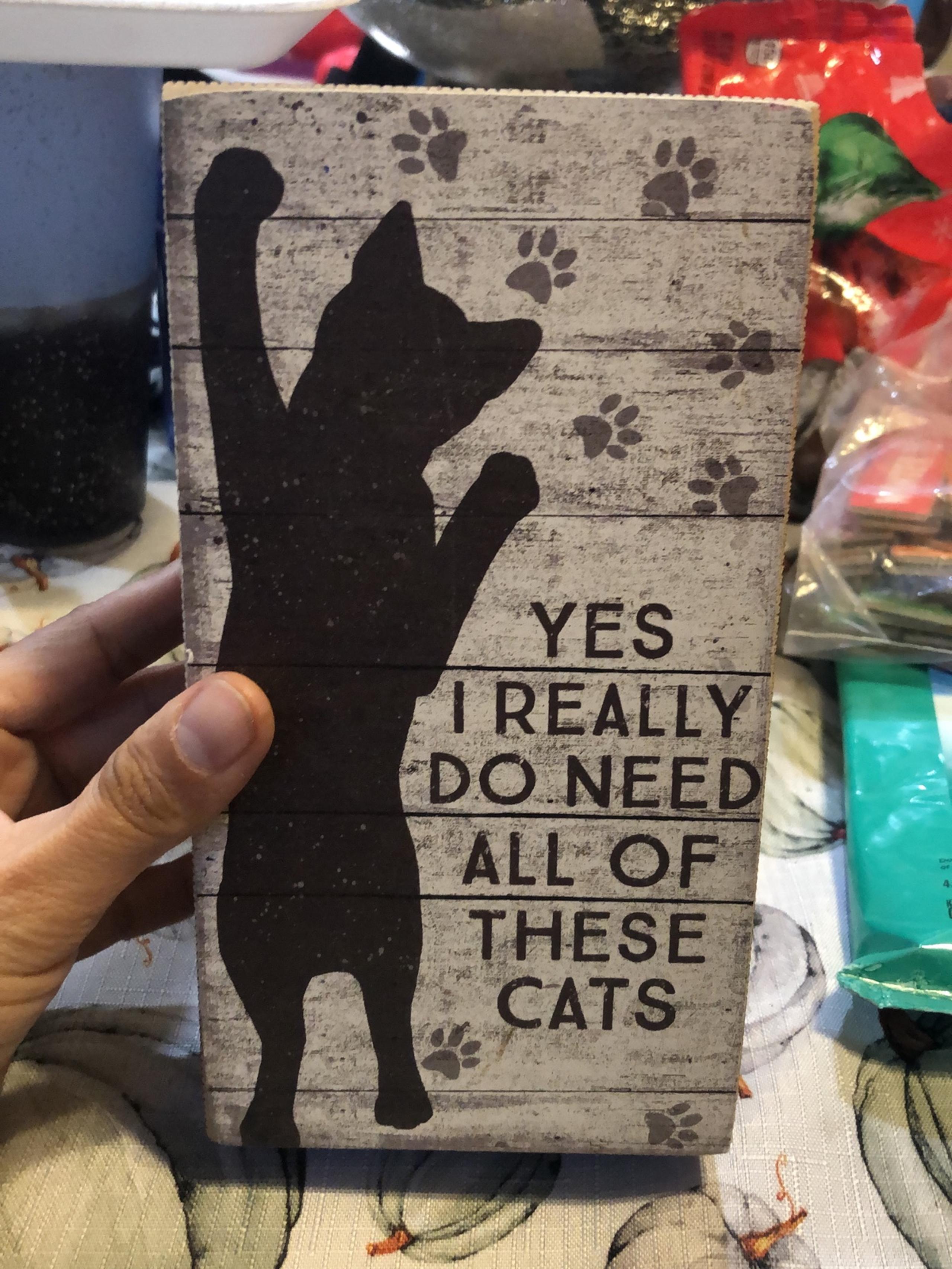 sign cat