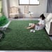 Super Soft Shaggy Rugs Fluffy Carpets, 4x6 ft, Dark Green Area Rug | SALE