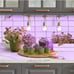 Miracle LED Indoor Grow Light Kit
