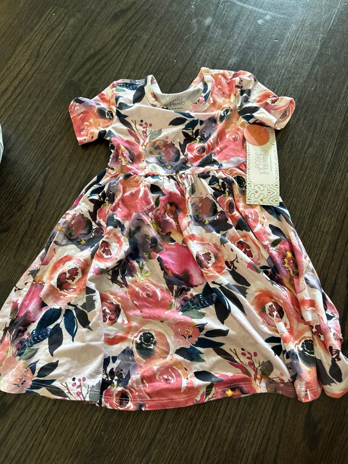 Posh peanut 24 months dusk rose twirl dress nwt