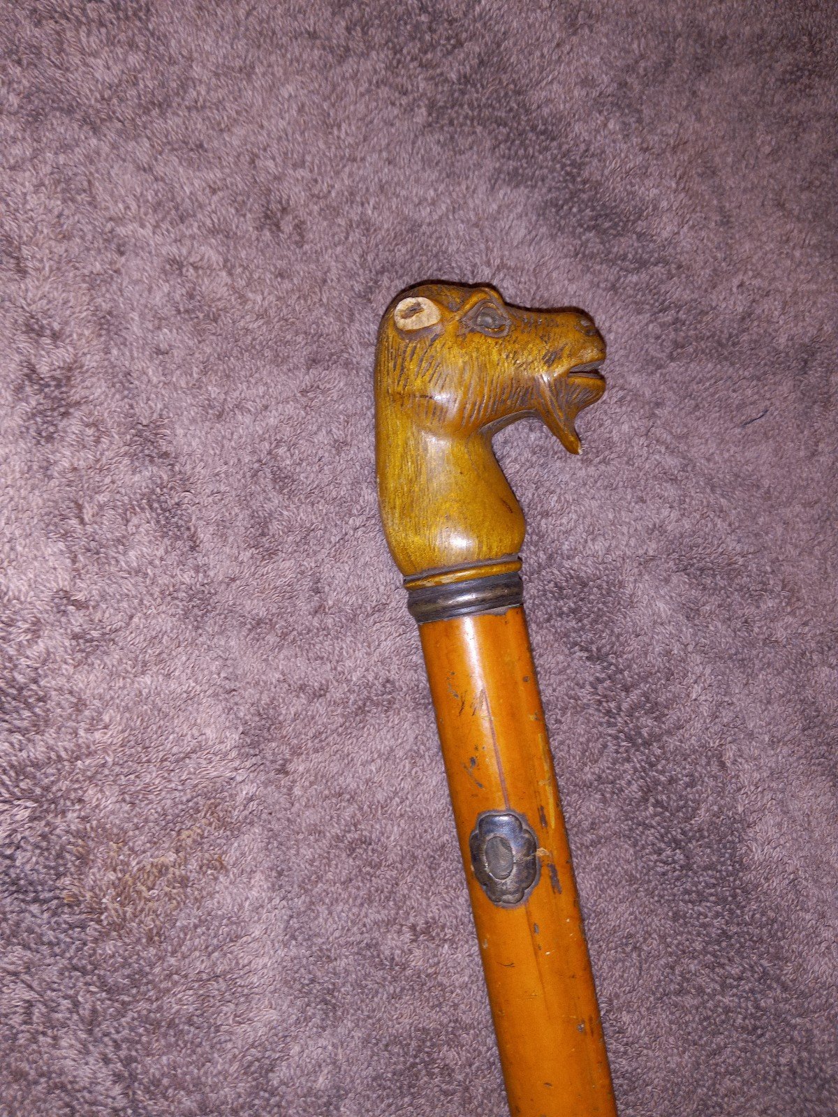 Antique camel cane