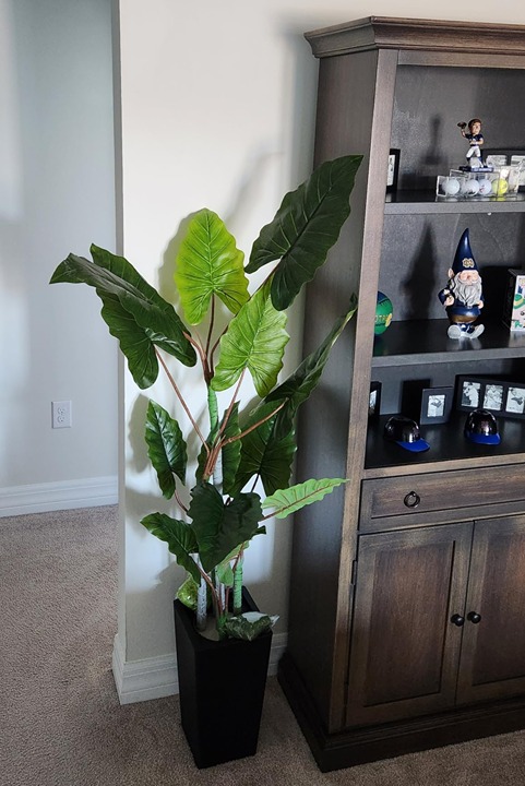 Artificial Plant Indoor 5.5FT - Fake Tree with Black Tall Planter - Faux Silk