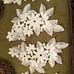 lot of 6 - LARGE 1960's Vintage Ivory Cotton Venice Lace Appliques