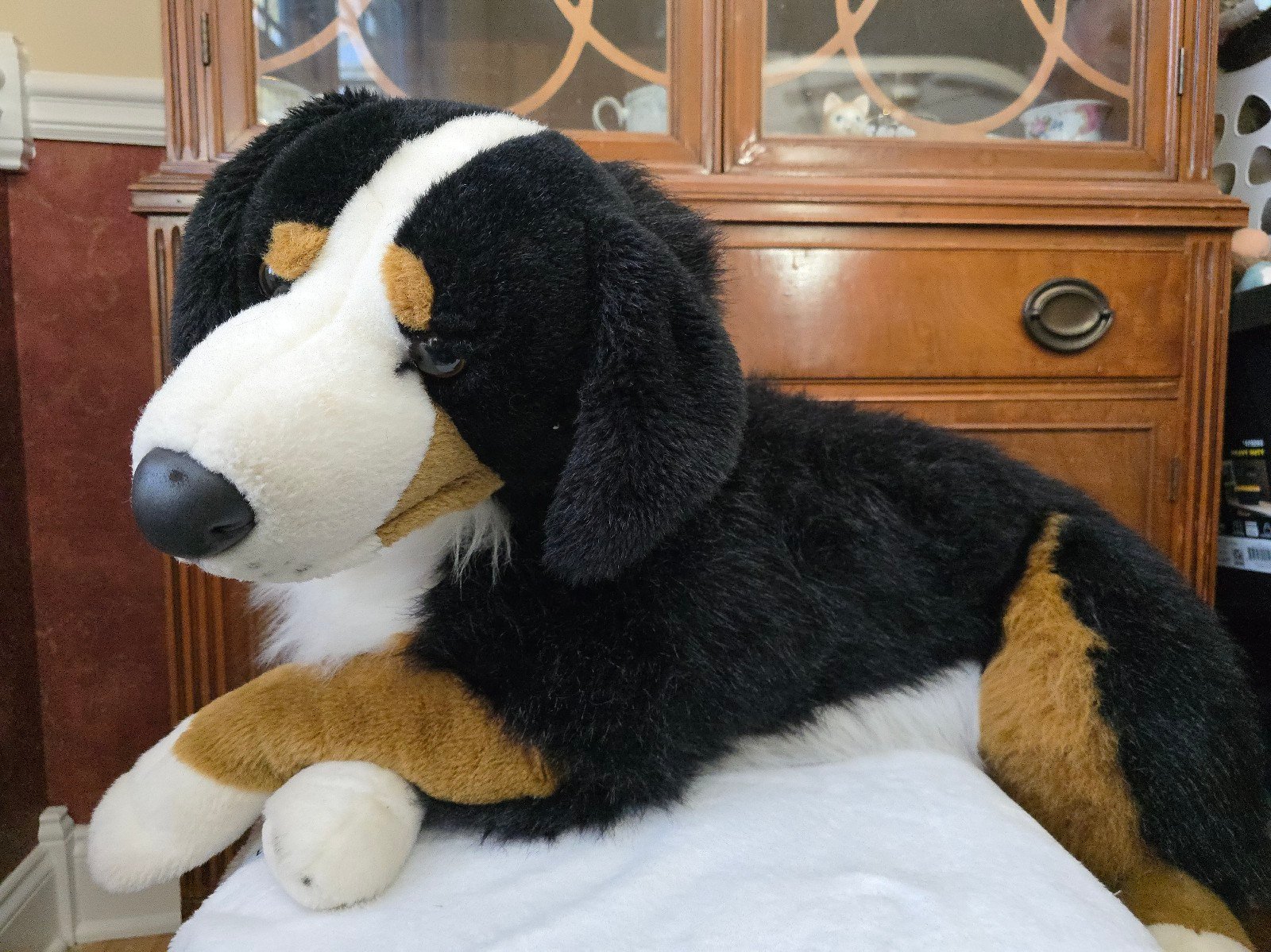 Vintage E&J Classic Prima Collection 40” Large Realistic Bernese Mountain Dog St