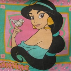 Vintage Disney Aladdin Jasmine Sheets Twin Flannel Sheet Set