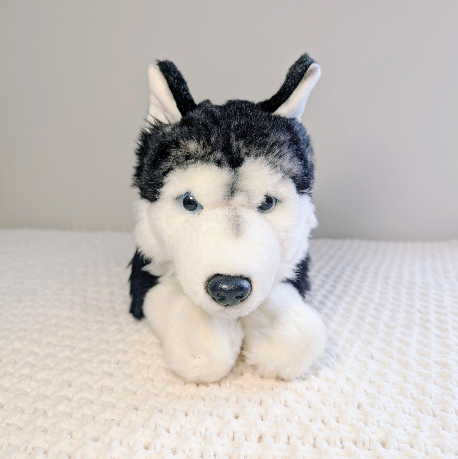 Ganz Siberian Husky