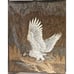 Biederlack Style Bald Eagle Lap Throw Blanket Reversible Brown & White 45 x 55