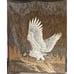 Biederlack Style Bald Eagle Lap Throw Blanket Reversible Brown & White 45 x 55