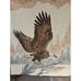 Biederlack Style Bald Eagle Lap Throw Blanket Reversible Brown & White 45 x 55
