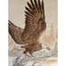 Biederlack Style Bald Eagle Lap Throw Blanket Reversible Brown & White 45 x 55