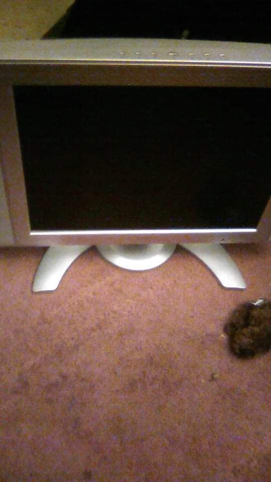 Monitor
