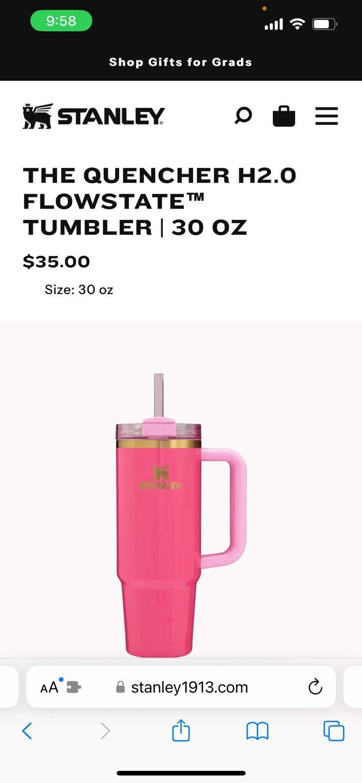 Stanley Pink Parade 30oz