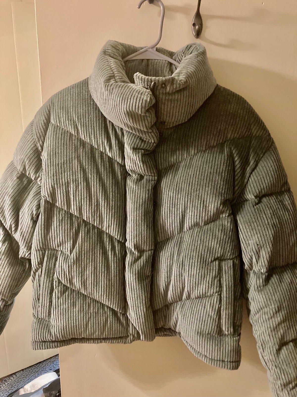 Aritzia puffer jacket