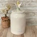 NWT Gorgeous 3D Rae Dunn Disney Canister White Ceramic Tinkerbell Tinker Bell
