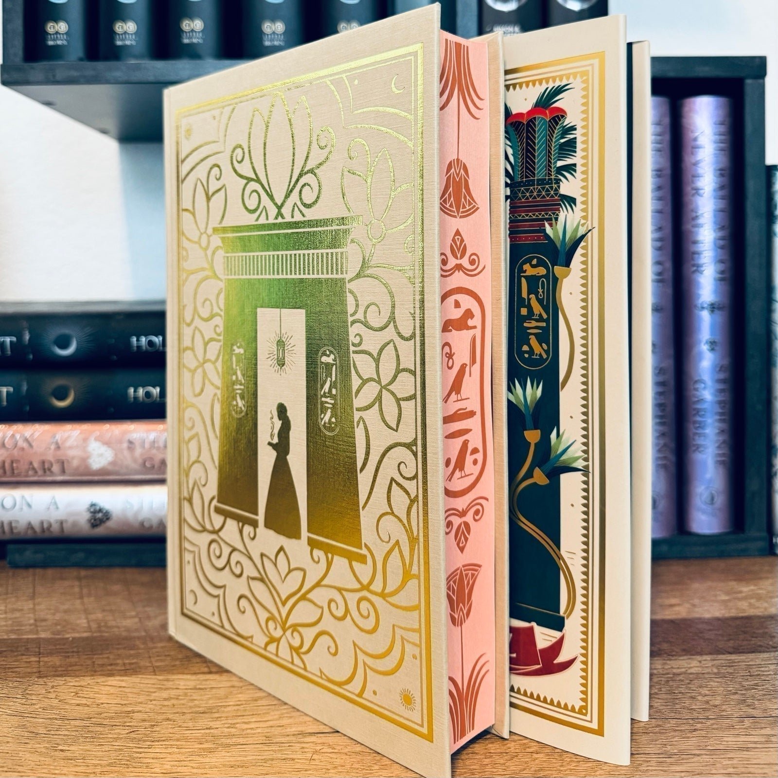 Fairyloot Exclusive Signed Edition What The River Knows by Isabel Ibanez