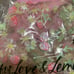 For Love & and Lemons VS Tutti Frutti Shimmer Panty Thong medium M new!