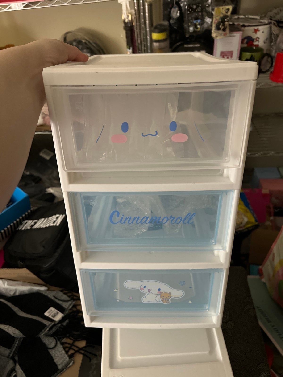 cinnamoroll storage