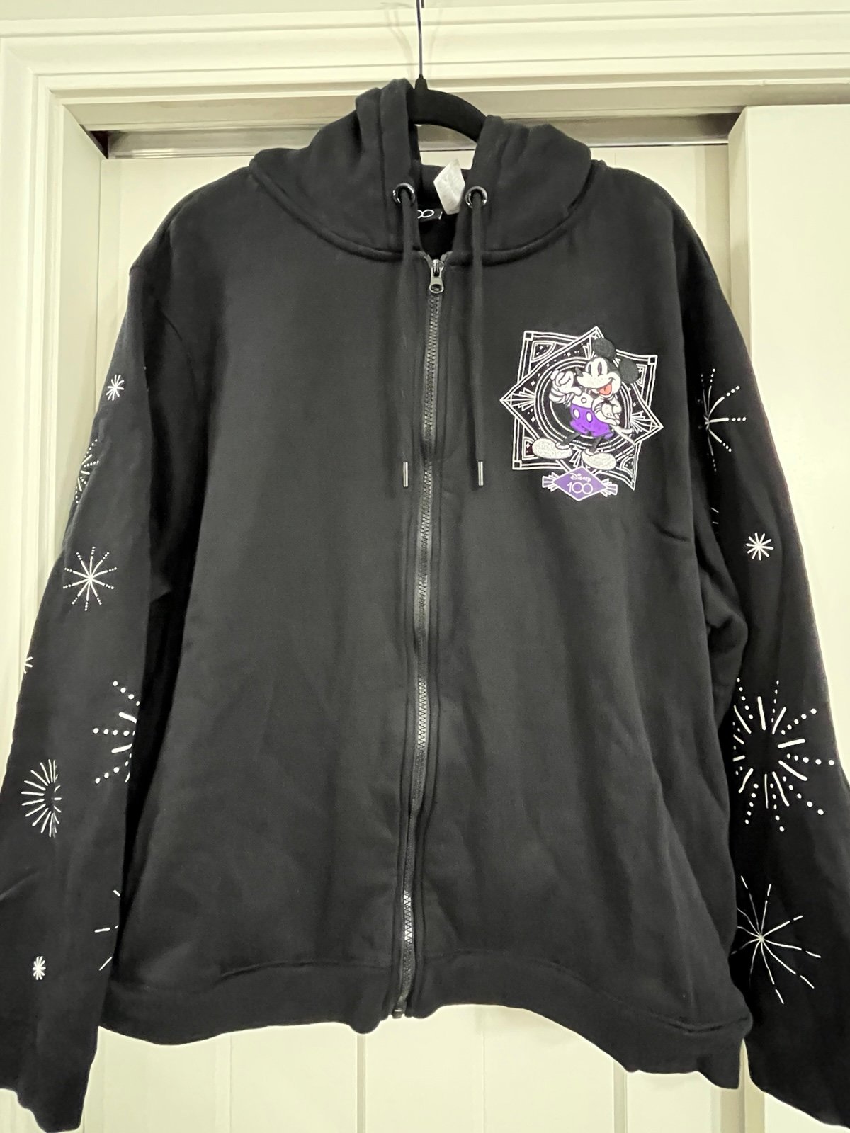 Disney 100 zip up hoodie