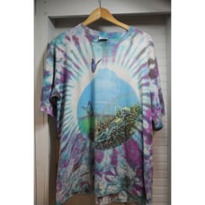 Vintage thrashed 1990s Rare Grateful Dead t-shirt size XL single stitch tie-dye