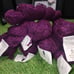 DONEGAL TWEED 100% pure wool plum purple dyed yarn
