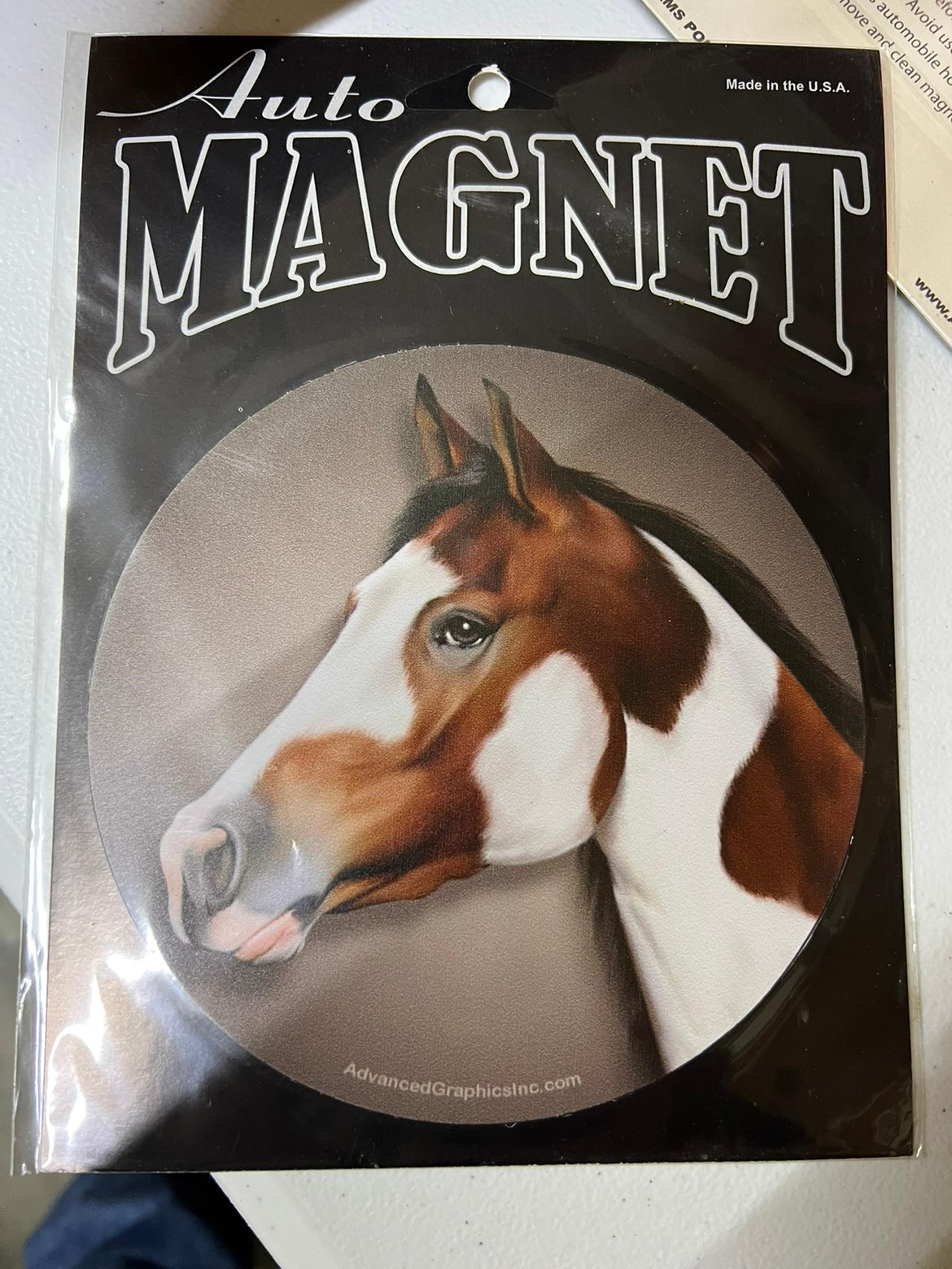 Magnet