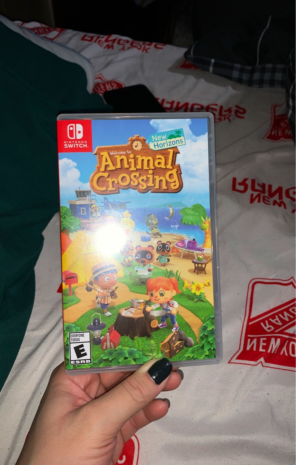 Nintendo Switch Animal Crossing: New Hor