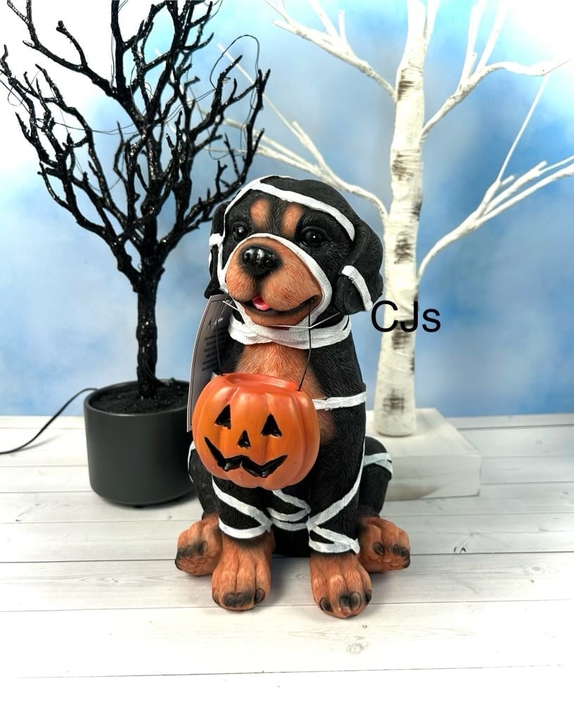 Halloween Mummy Dog Statue Rottweiler Statue New