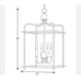 Caged pendant light fixture