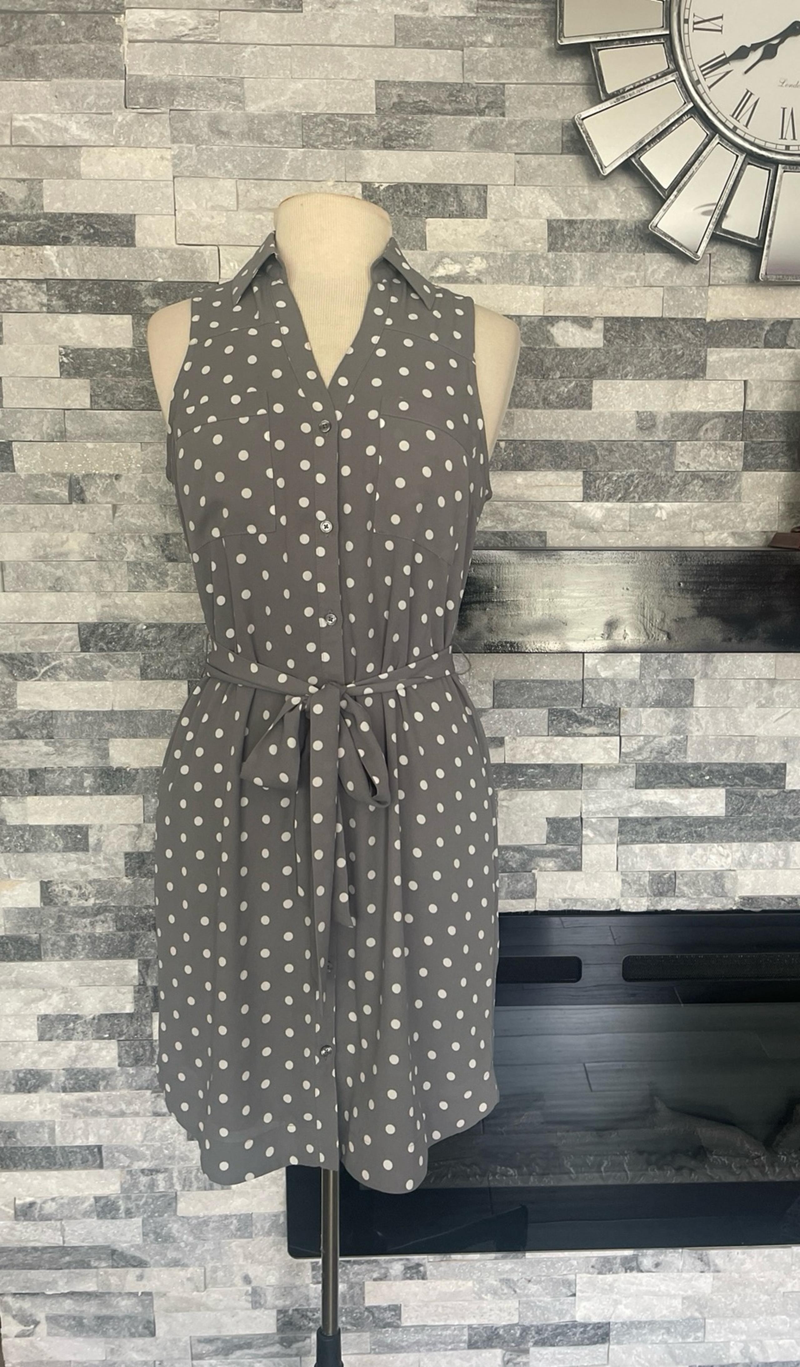Express Size S/P Gray Blue White Polka Dot Tie Dress