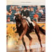 The International Equestrian Year - L'Année Hippique 1994/1995 44th Edition Book