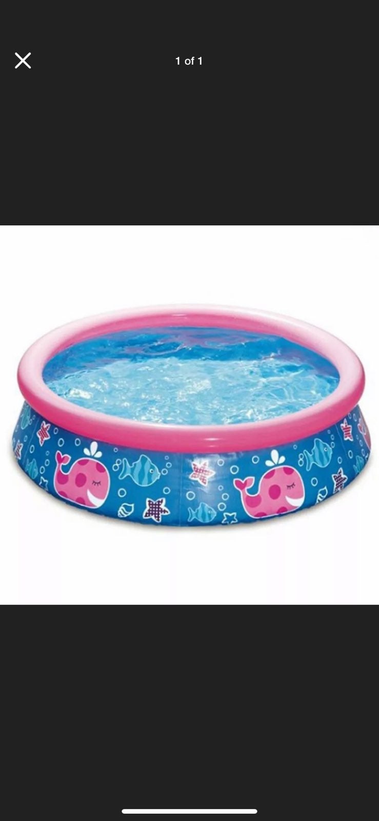 inflatable kiddie pool (5ft x 15in)