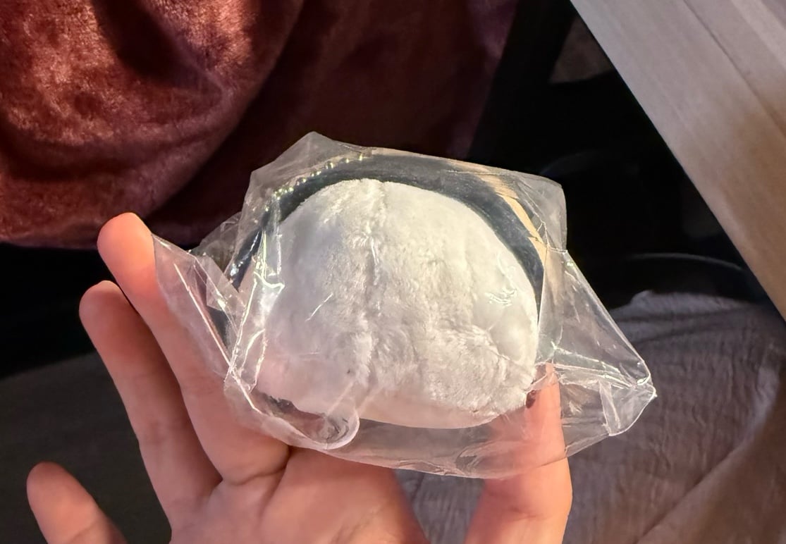 BSD fyodor mochi plush - detail