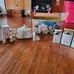 1993 Sammy's circus set