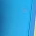 Girl scout books