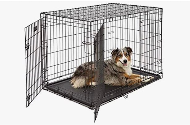 Large dog crate